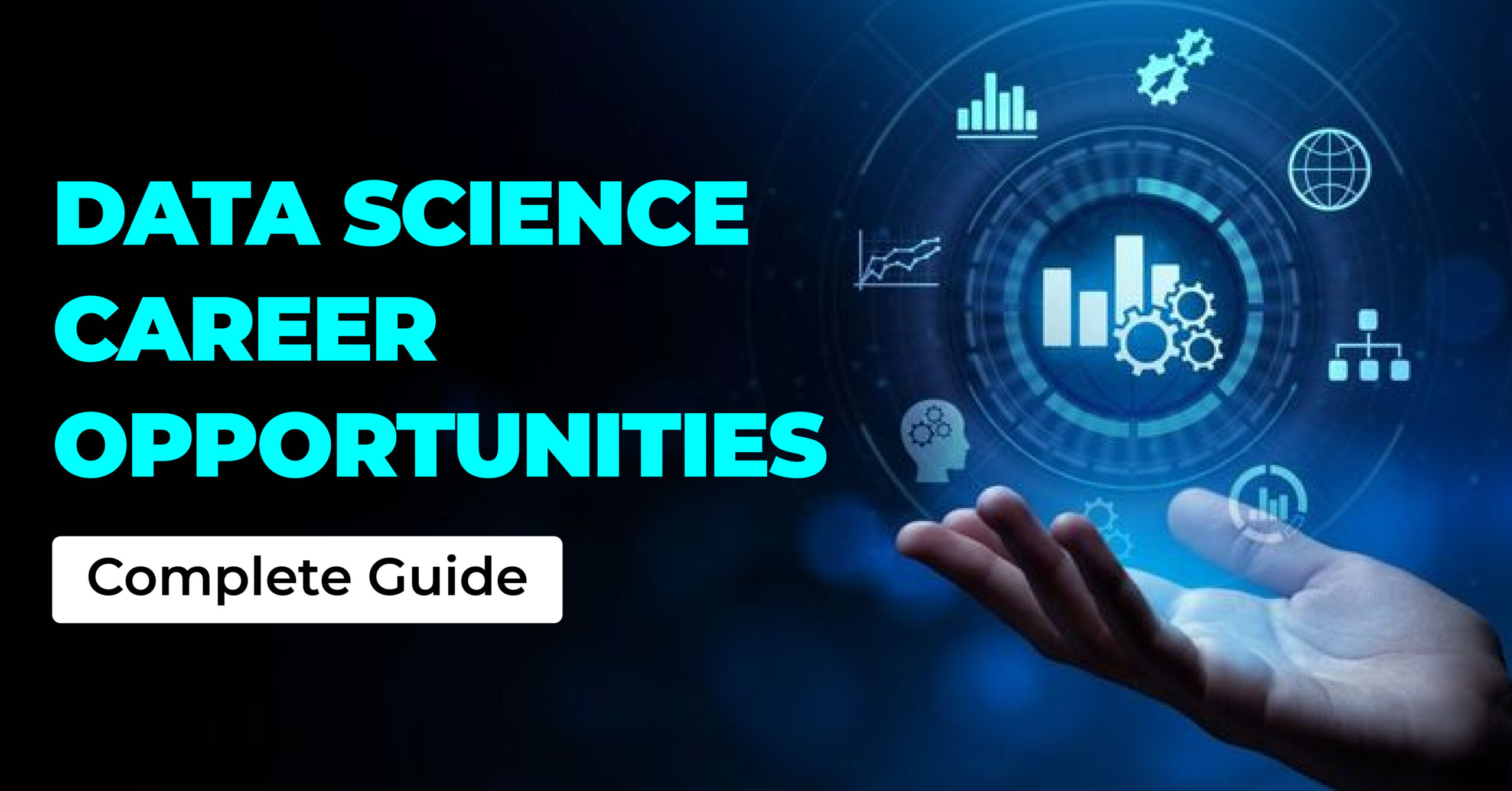 Data Science Career Opportunities, Data Scientist Roadmap, roles and responsibilities of data scientits, ai engineer roadmap, Salary, AI Product Manager, Prompt Engineer, Data Scientist, gen ai,ai, data scientist salary